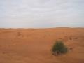Desert trip