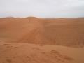 Desert trip